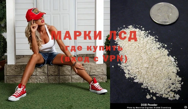 СК Аркадак