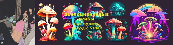 соль курить ск Арсеньев