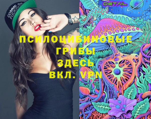 молекула духа Армянск