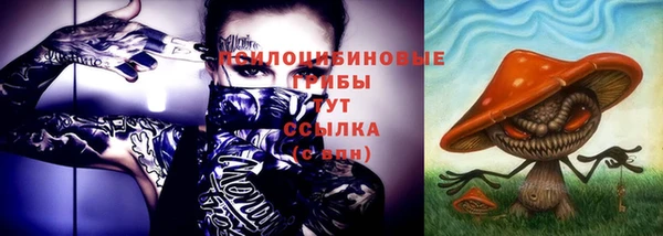 молекула духа Армянск