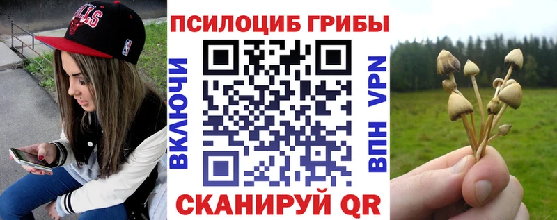 Псилоцибиновые грибы GOLDEN TEACHER  Купить  Ужур 